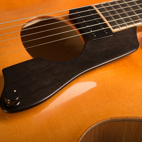 Learn to build guitars