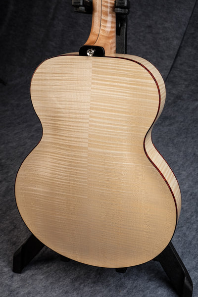 archtop guitar back 