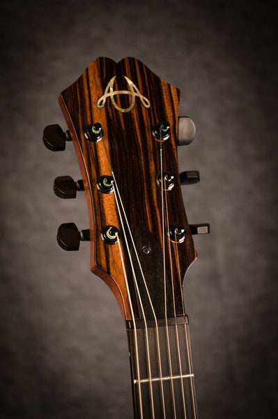 striped ebony American Archtop