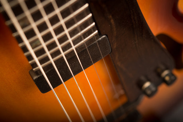 kent armstrong pick ups on archtop