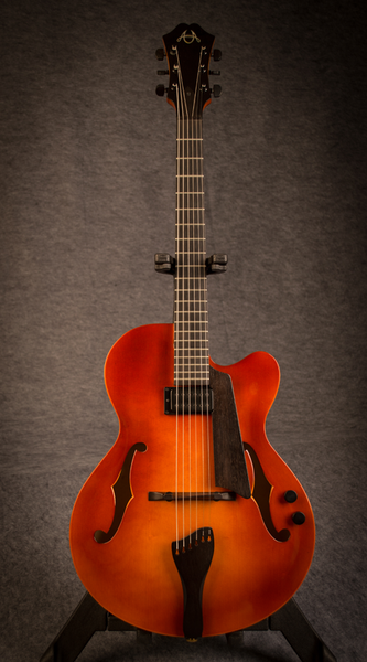 built in pickup archtop 