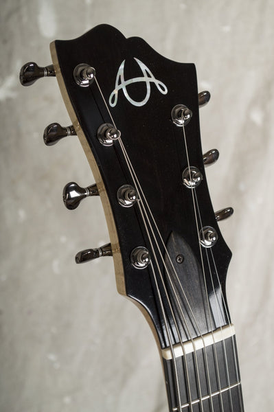 Bucky Pizzarelli American Archtop Model 6 or 7 String