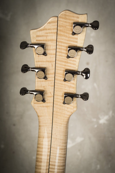 Bucky Pizzarelli American Archtop Model 6 or 7 String