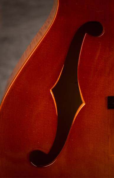 f holes American Archtop